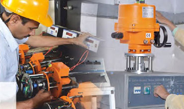 Iron Butterfly Valve